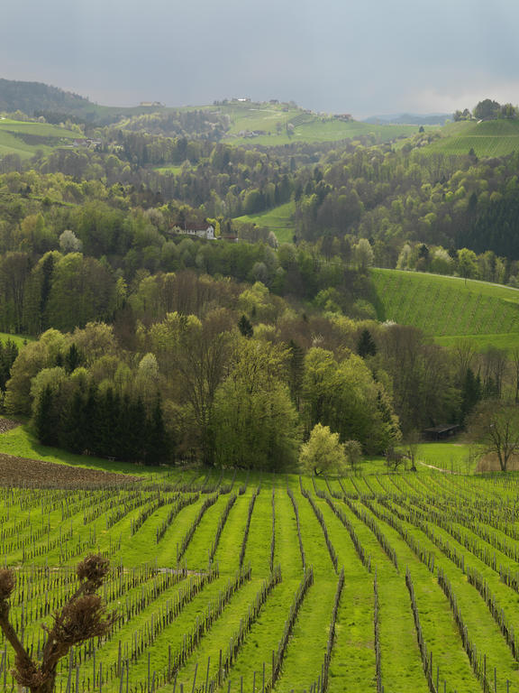 Отель Weingut Skoff Original Гамлиц Экстерьер фото